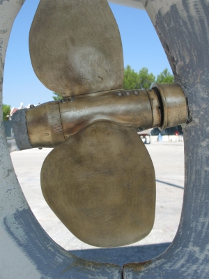 [Immagine: 20117211822_rr1.jpg]