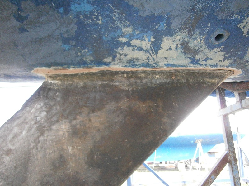 [Immagine: 20125313420_P3170100.JPG]