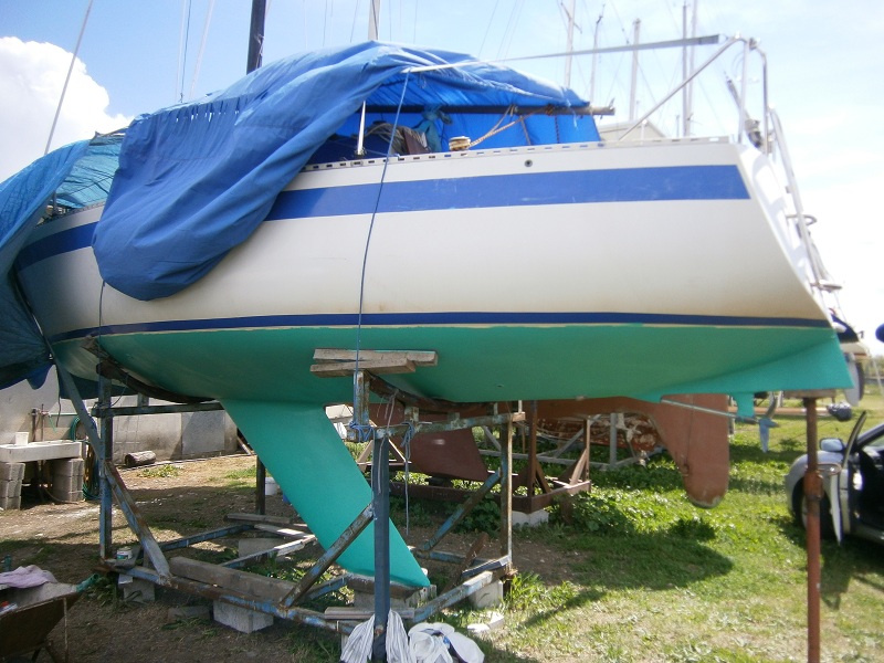 [Immagine: 20125313814_P4220137.JPG]