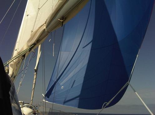 [Immagine: 201111415151_senzaparole.JPG]