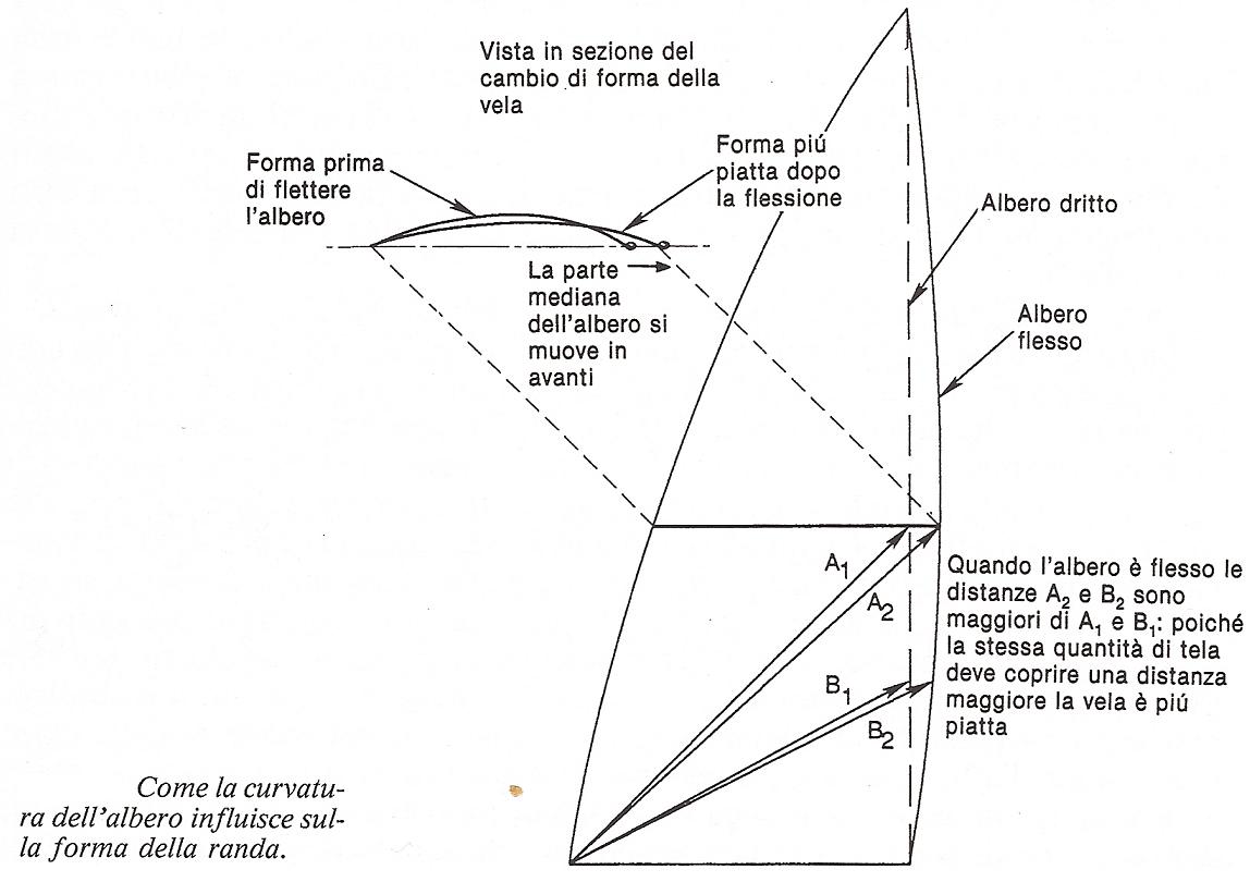 [Immagine: 201112091632_curvaranda.JPG]