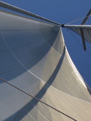 [Immagine: 2011298210_tn_100_0850.JPG]
