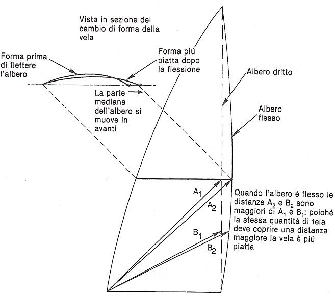 [Immagine: 201210510757_curvaturaalbero.JPG]