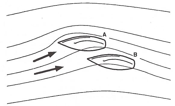 [Immagine: 2012113104222_posizionesicura.JPG]