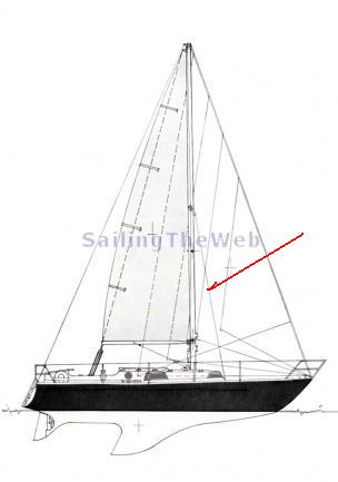 [Immagine: 2012922145618_fenicia37pv.JPG]