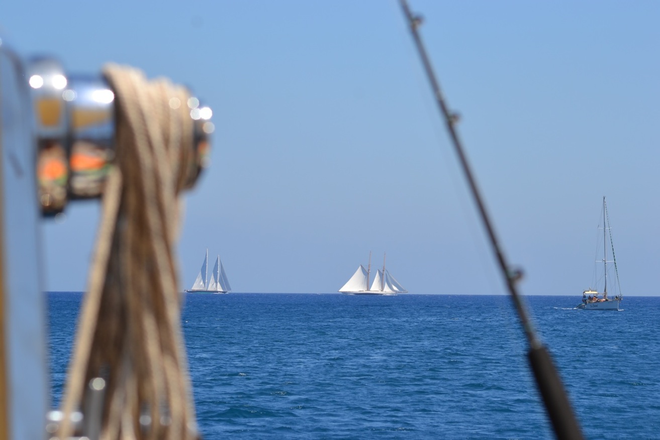 [Immagine: 2012821204850_4.jpg]