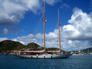 [Immagine: 2008103142832_CIMG1595.JPG]