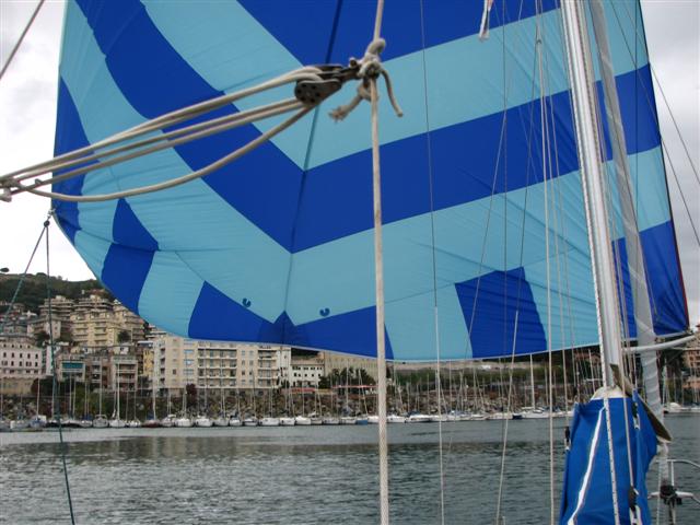 [Immagine: 20091123102315_IMG_0009.JPG]