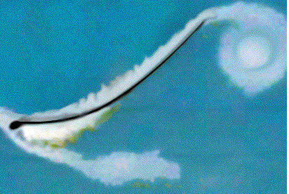 [Immagine: 201097174720_stallo.gif]