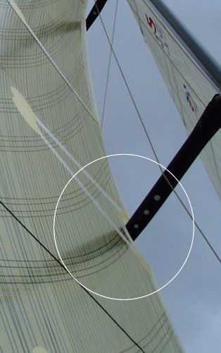 [Immagine: 2009829132522_closeup.jpg]