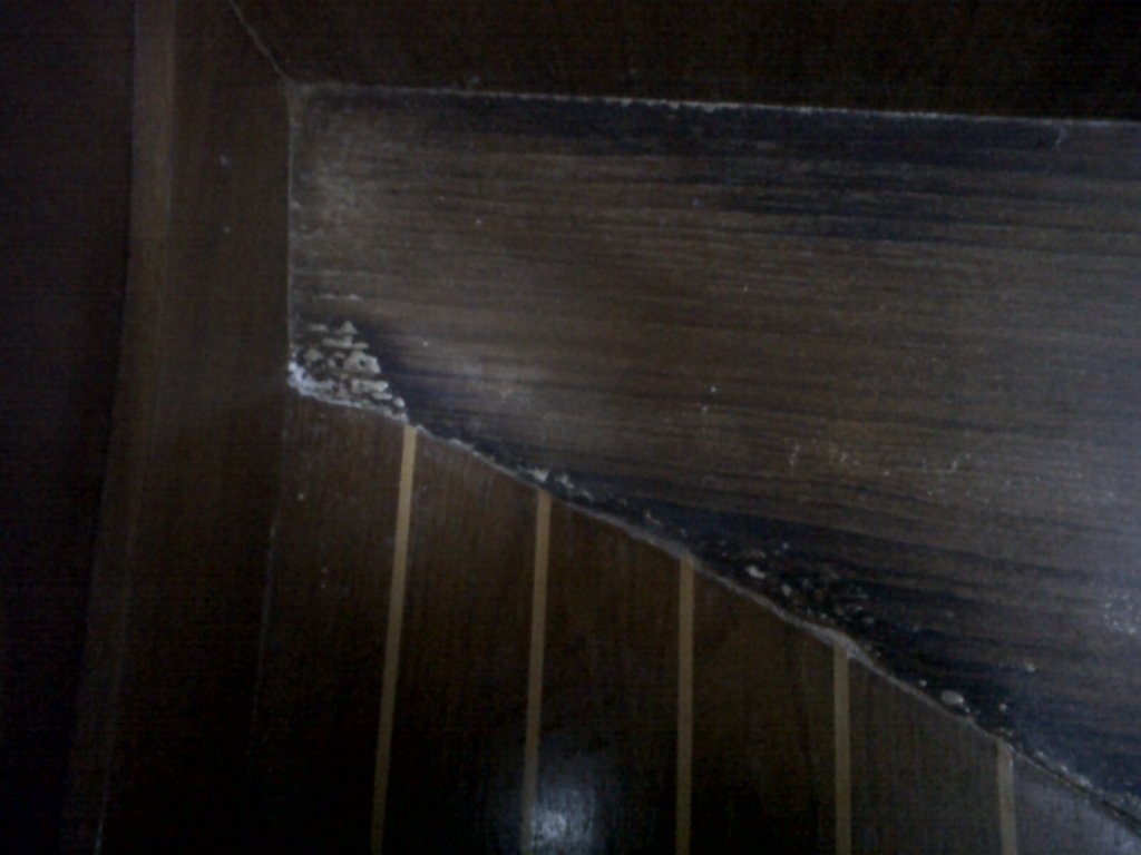 [Immagine: 2012312103146_3bis.jpg]