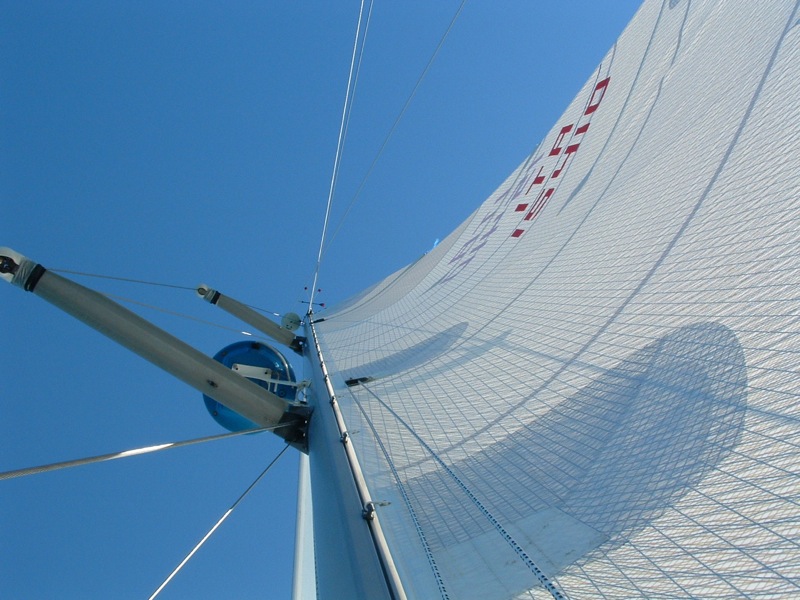 [Immagine: 201022113445_DSCF0116.JPG]