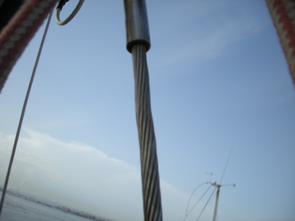 [Immagine: 201061820425_2.jpg]