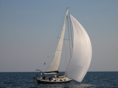 [Immagine: 2010122581244_amici3.JPG]