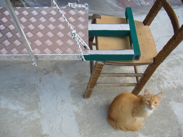 [Immagine: 201232614458_P1010960.jpg]