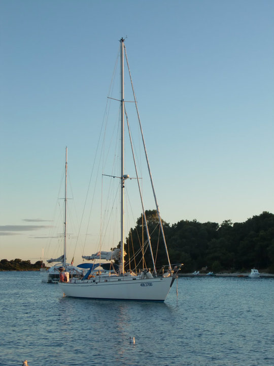 [Immagine: 2011119135750_bvc.jpg]