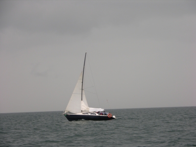 [Immagine: 2011112412221_j.JPG]