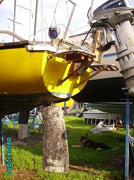 [Immagine: 2010522231635_IMGP0252..jpg]