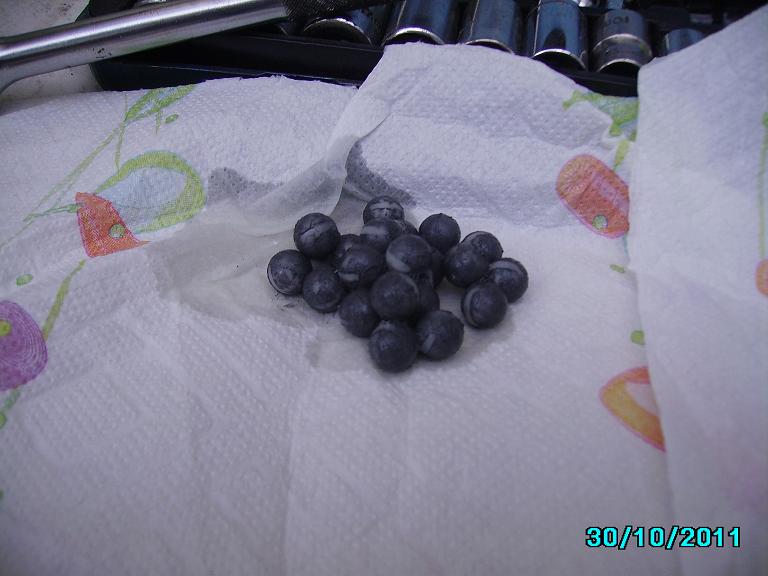 [Immagine: 20111030215850_IMGP0482.JPG]