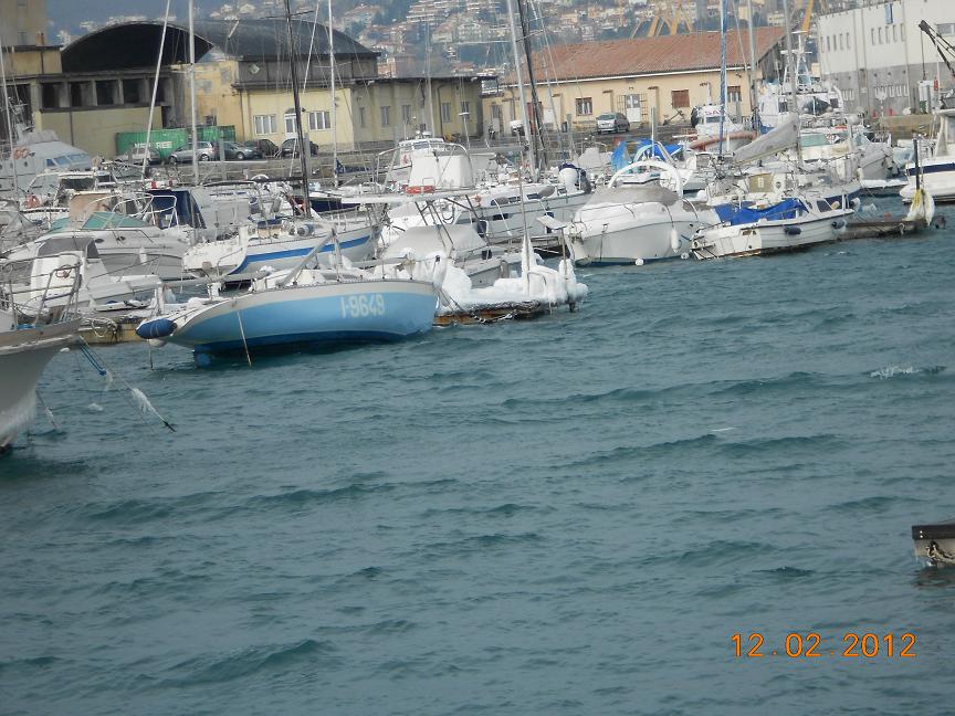[Immagine: 201417192748_DSCN0150.JPG]