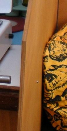[Immagine: 20101218215556_DSCN0466.JPG]