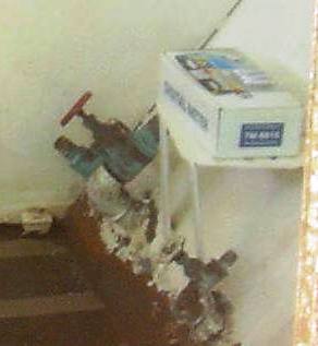 [Immagine: 2011214211559_IMAG0004.JPG]