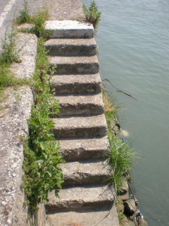[Immagine: 2011521174136_DSCN4281.JPG]