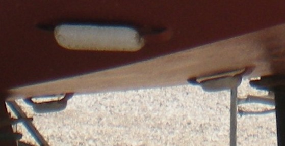 [Immagine: 2011529181756_004.JPG]