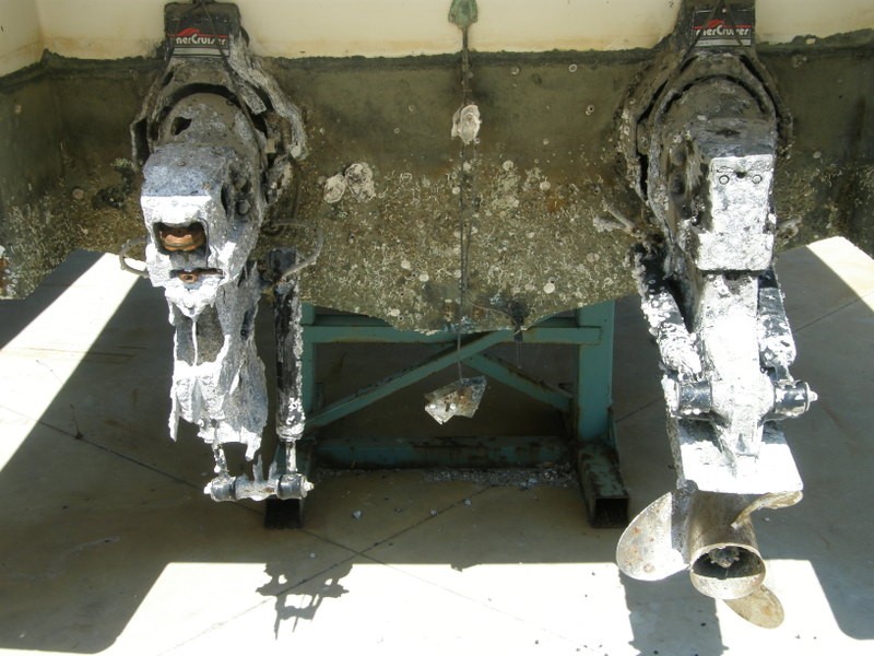 [Immagine: 2011529182323_33.jpg]