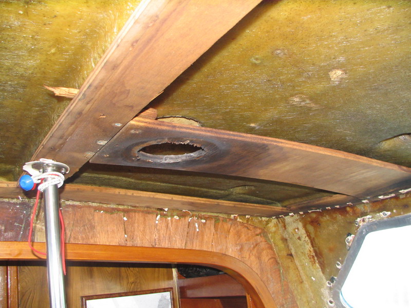 [Immagine: 2011124205622_oli.jpg]