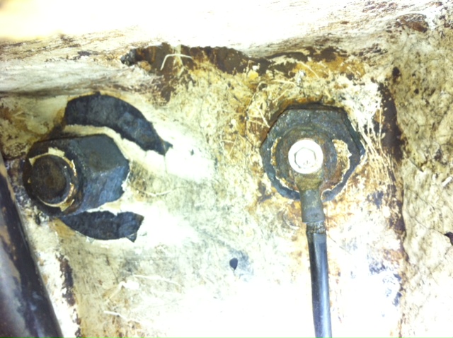 [Immagine: 201111905212_photo7.JPG]