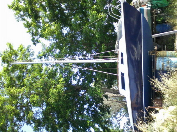 [Immagine: 2012828152228_vela_ridimensionare.jpg]