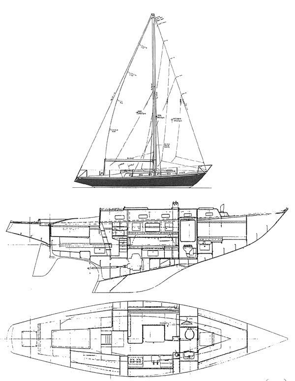 [Immagine: 20111211182127_swan_36_drawing.jpg]