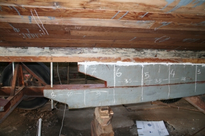 [Immagine: 201153114422_chigia.jpg]