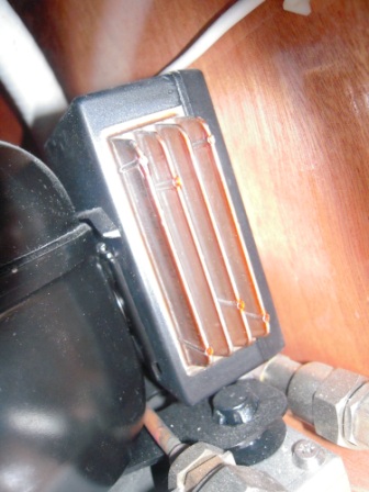 [Immagine: 20101231112240_c3.JPG]