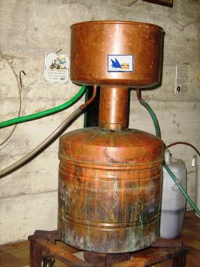 [Immagine: 2010112275328_alambicco-adv.JPG]
