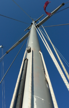 [Immagine: 20131116191033_albero.png]