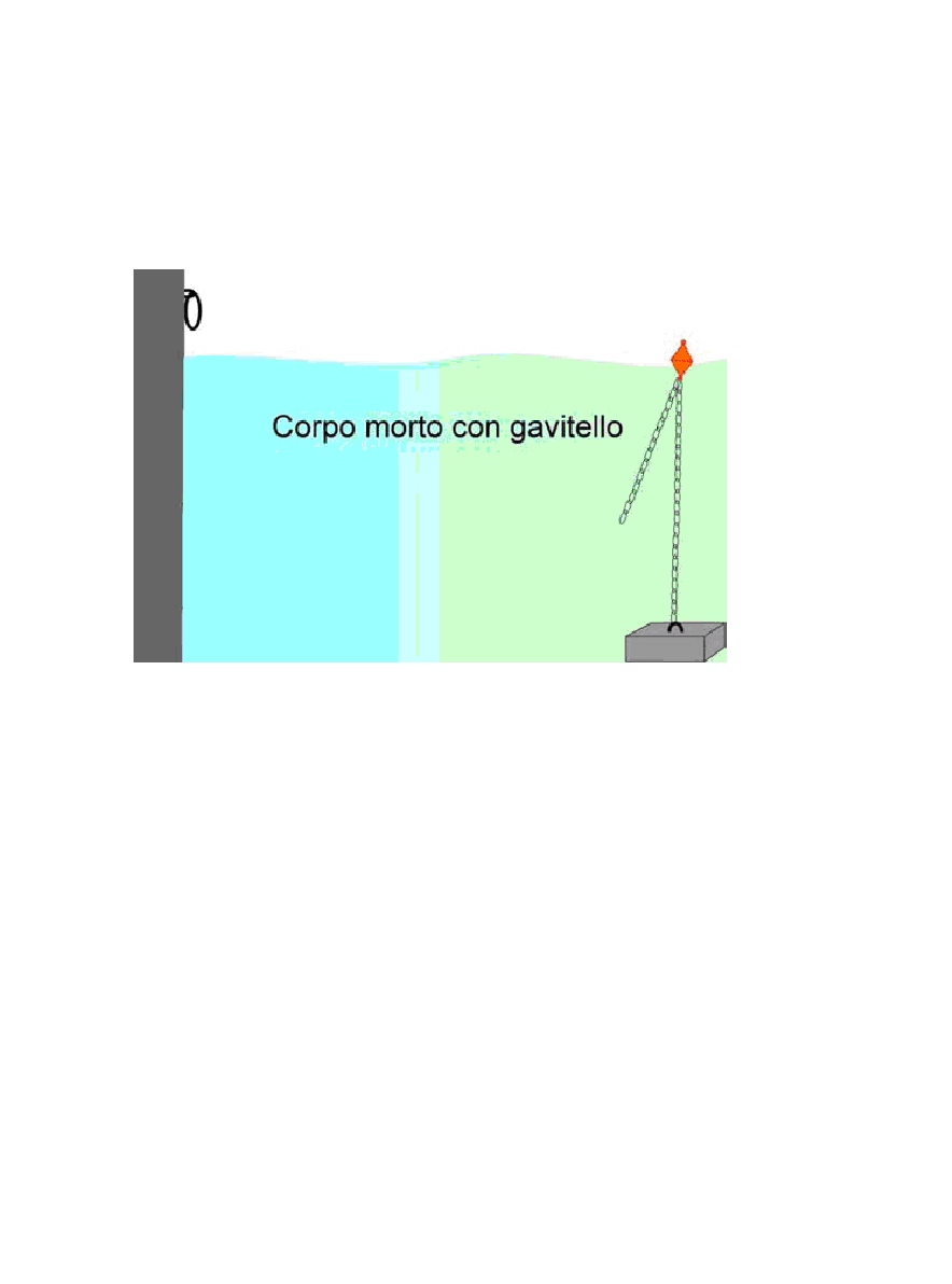 [Immagine: 2010122115719_corpomorto.jpg]
