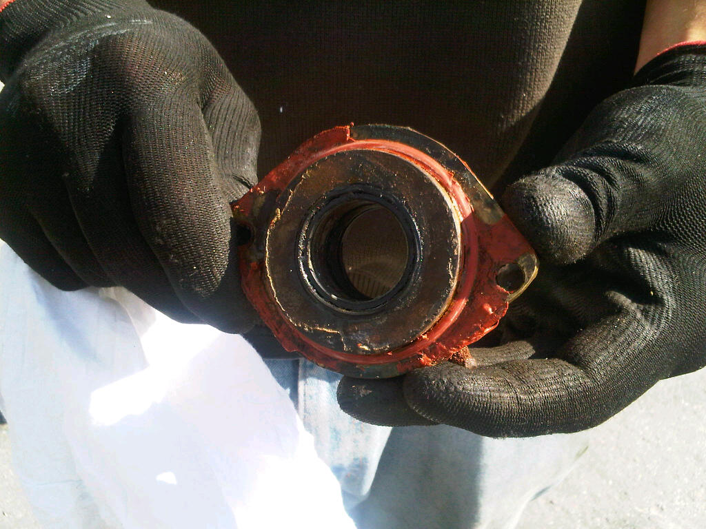 [Immagine: 20125621520_IMG-20120428-00172.jpg]
