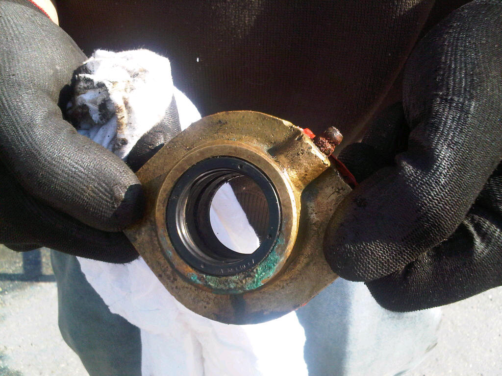 [Immagine: 20125621538_IMG-20120428-00173.jpg]