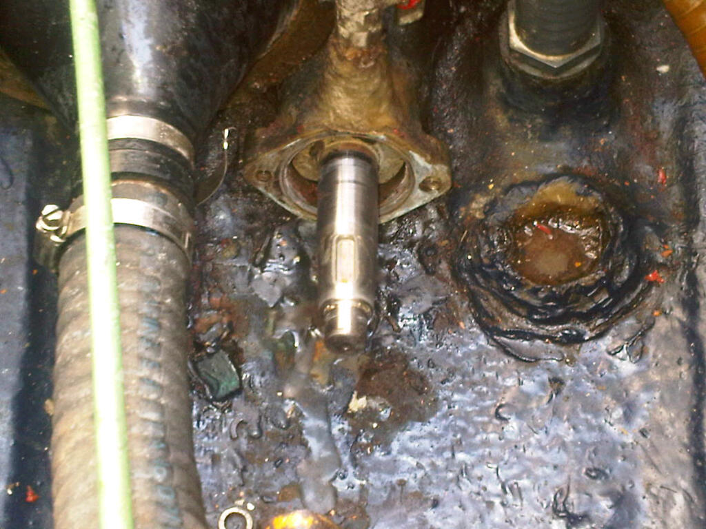 [Immagine: 201256215414_IMG-20120428-00176.jpg]
