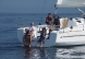[Immagine: 201054141430_IMG_5925_1258130817058916100_1.JPG.jpeg]
