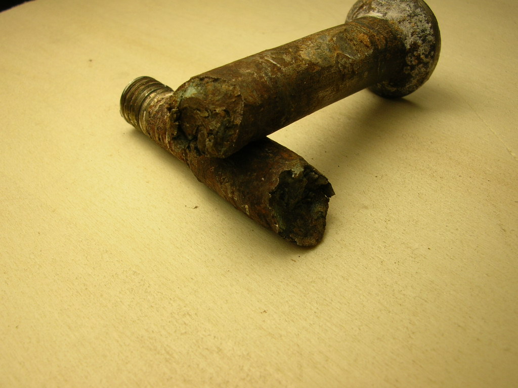 [Immagine: 201311151922_DSCN3720.JPG]