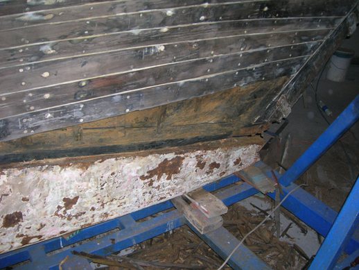 [Immagine: 201121020102_DSCN0036.JPG]
