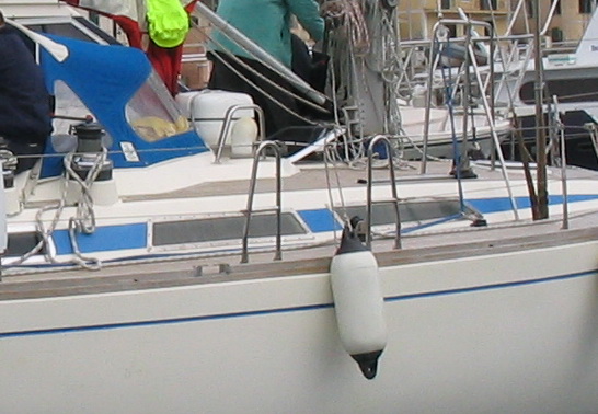 [Immagine: 2012828221423_foto2.jpg]