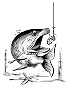 [Immagine: 2012912115645_image_3.png]