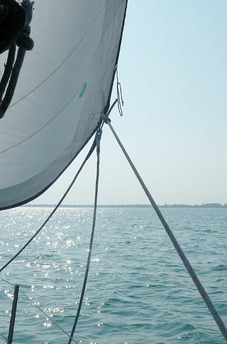 [Immagine: 2012730153541_Vele-2012-05.jpg]