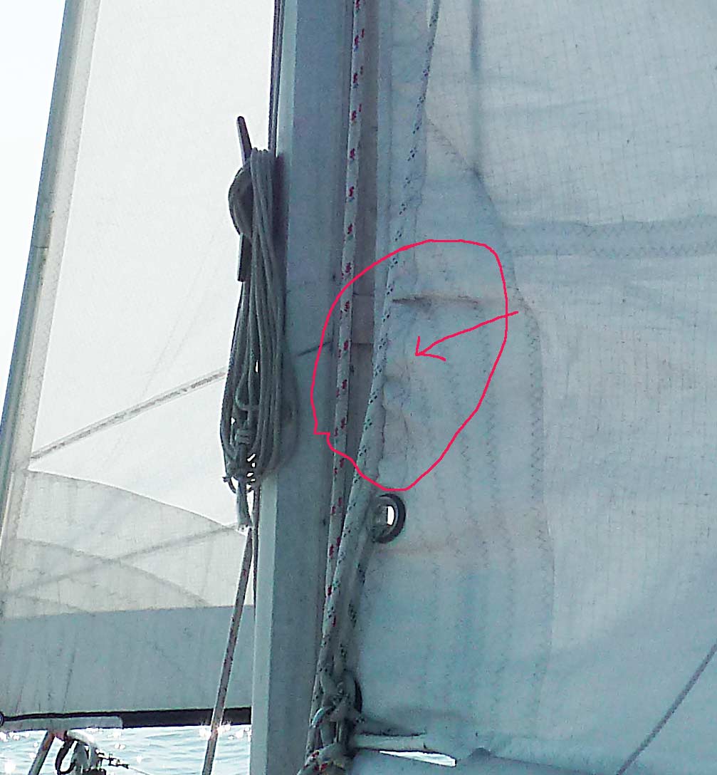 [Immagine: 2012730164840_Vele-2012-041.jpg]