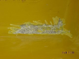 [Immagine: 201018132933_IMG_1477.jpg]