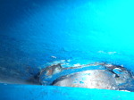 [Immagine: 201312719242_timone.jpg]
